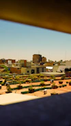 Rows of thriving medicinal plants growing in a sunny rooftop garden.