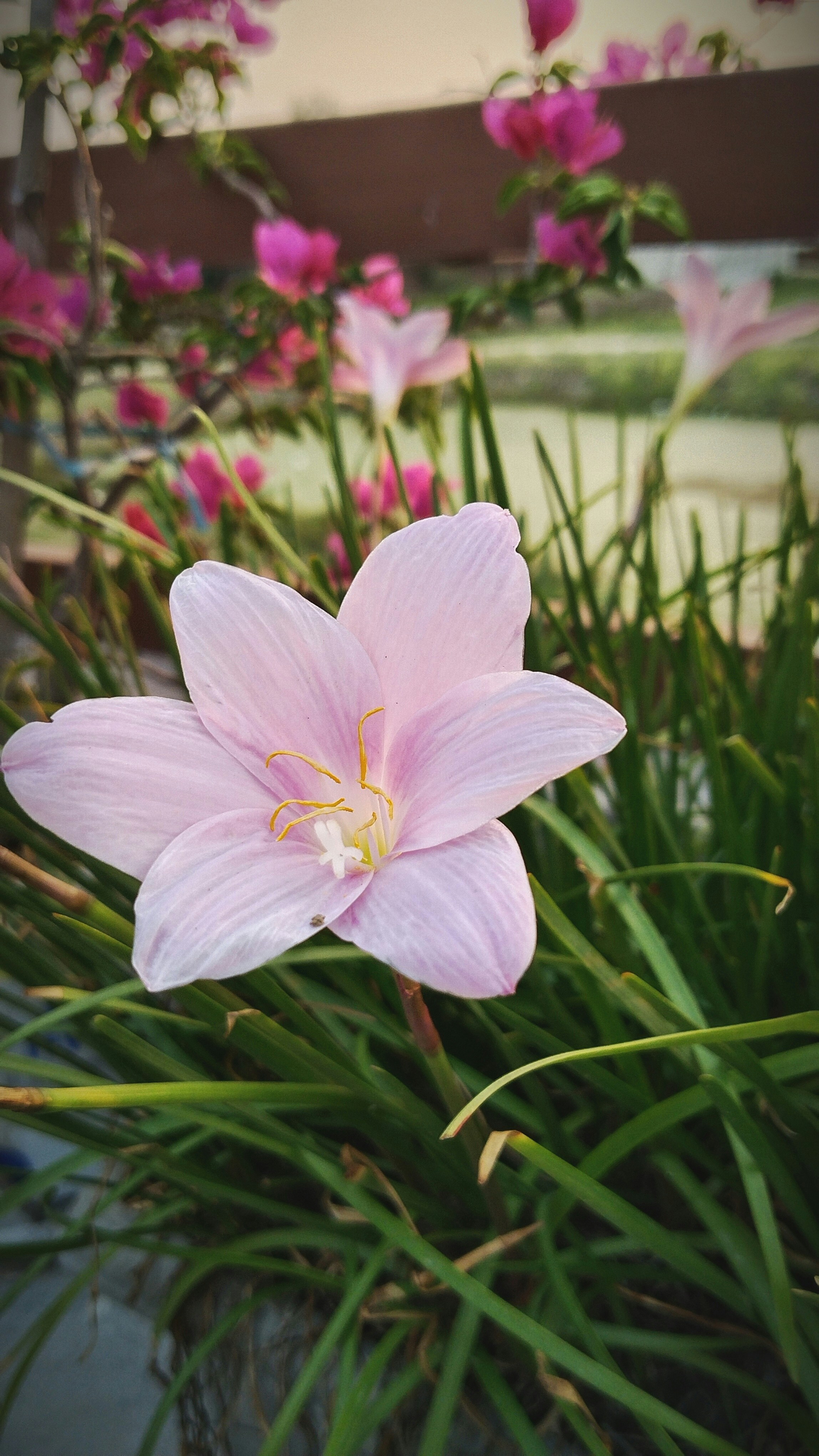 Photo by dendrophilic