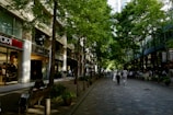 Tree-lined street in Rubí showing local shops and pedestrian-friendly sidewalks