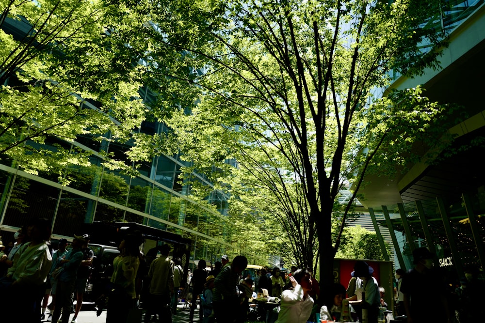 a group of people standing around a tree