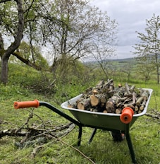 a wheelbarrow filled with logs in a field