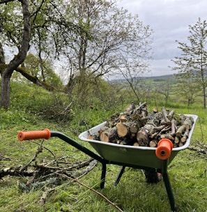 a wheelbarrow filled with logs in a field