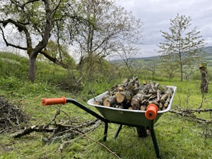 a wheelbarrow filled with logs in a field