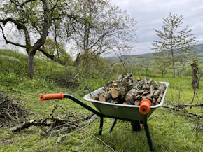 a wheelbarrow filled with logs in a field