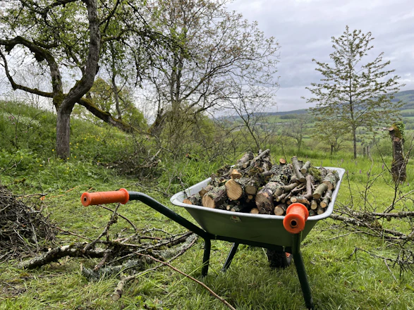 a wheelbarrow filled with logs in a field