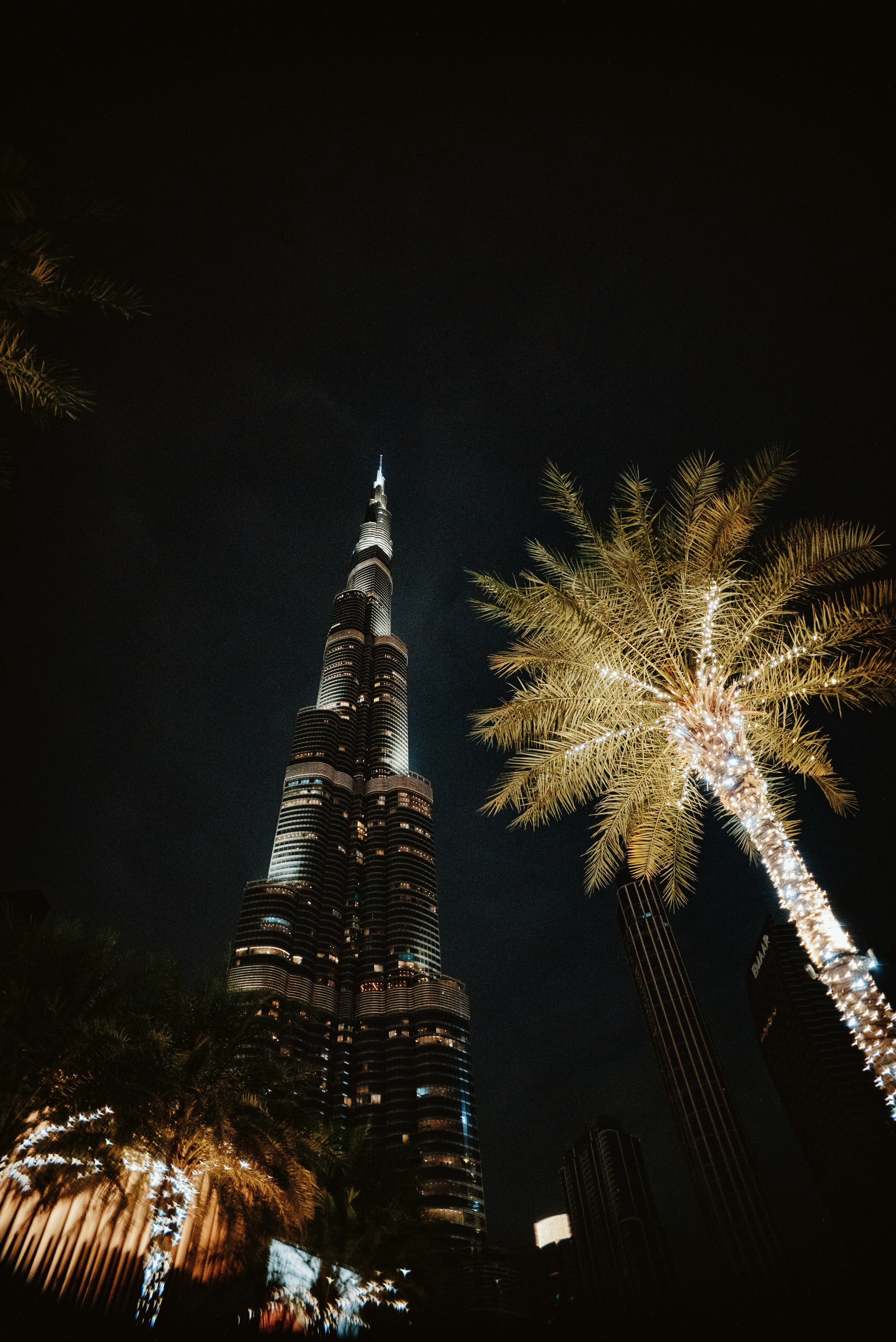 Photo by evanthewise