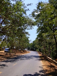 A delivery van driving through a scenic forested highway.