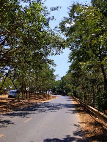 A delivery van driving through a scenic forested highway.