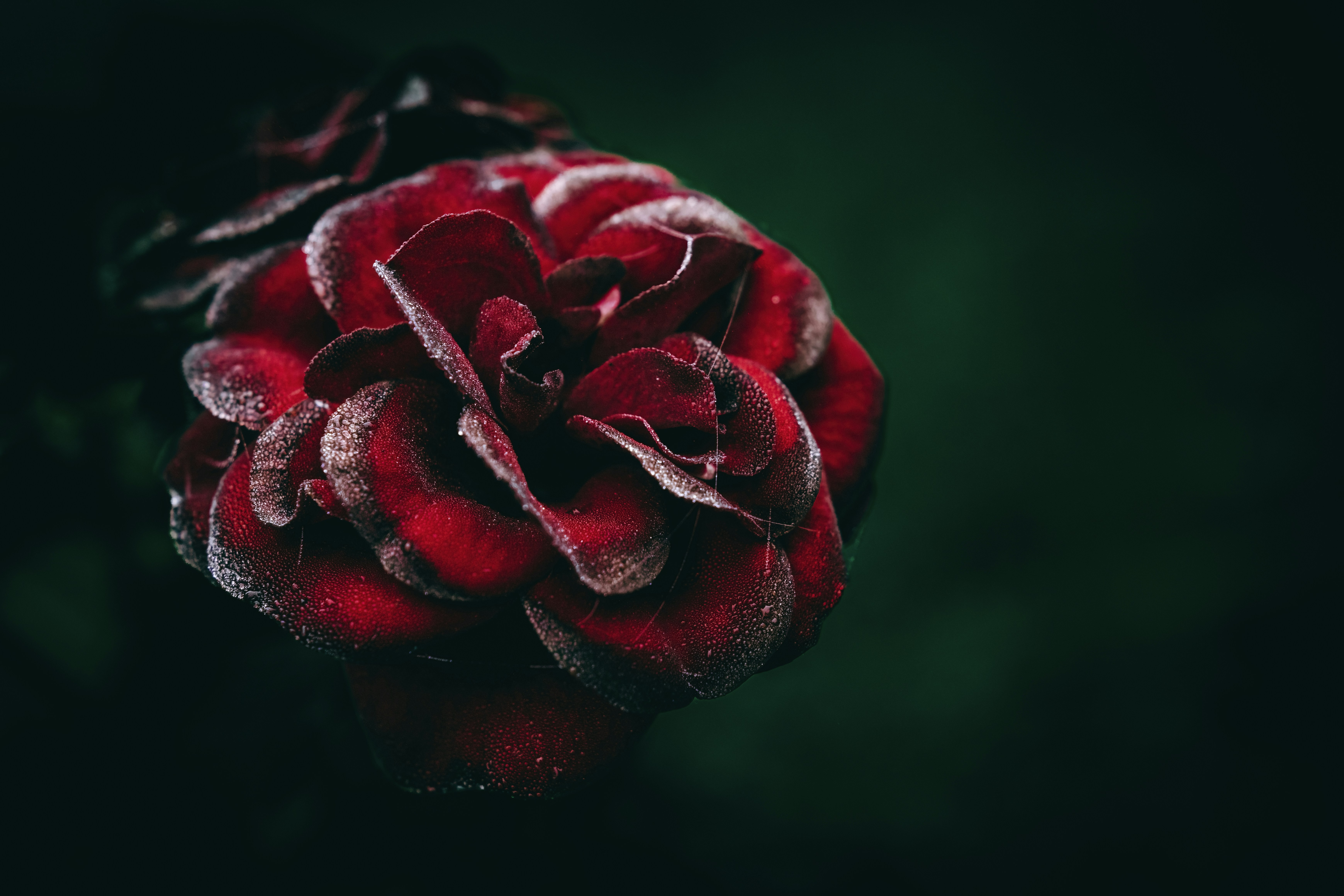 Fragmentos de una Vida: Hora de Partir