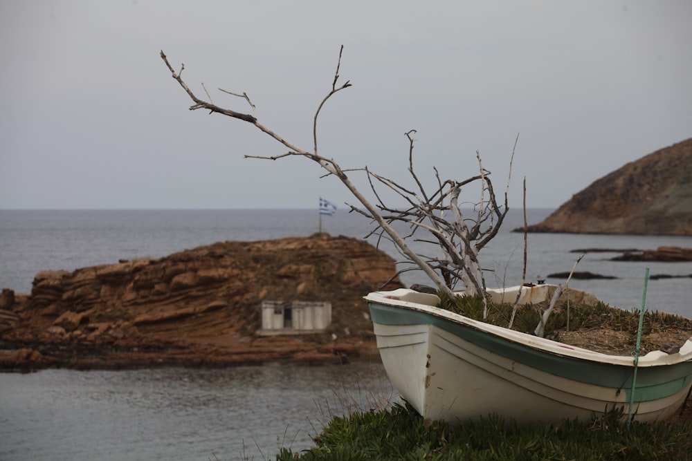 a boat sitting on top of a lush green field