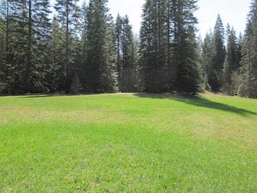 A clean and well-maintained septic tank site surrounded by green grass and clear skies.