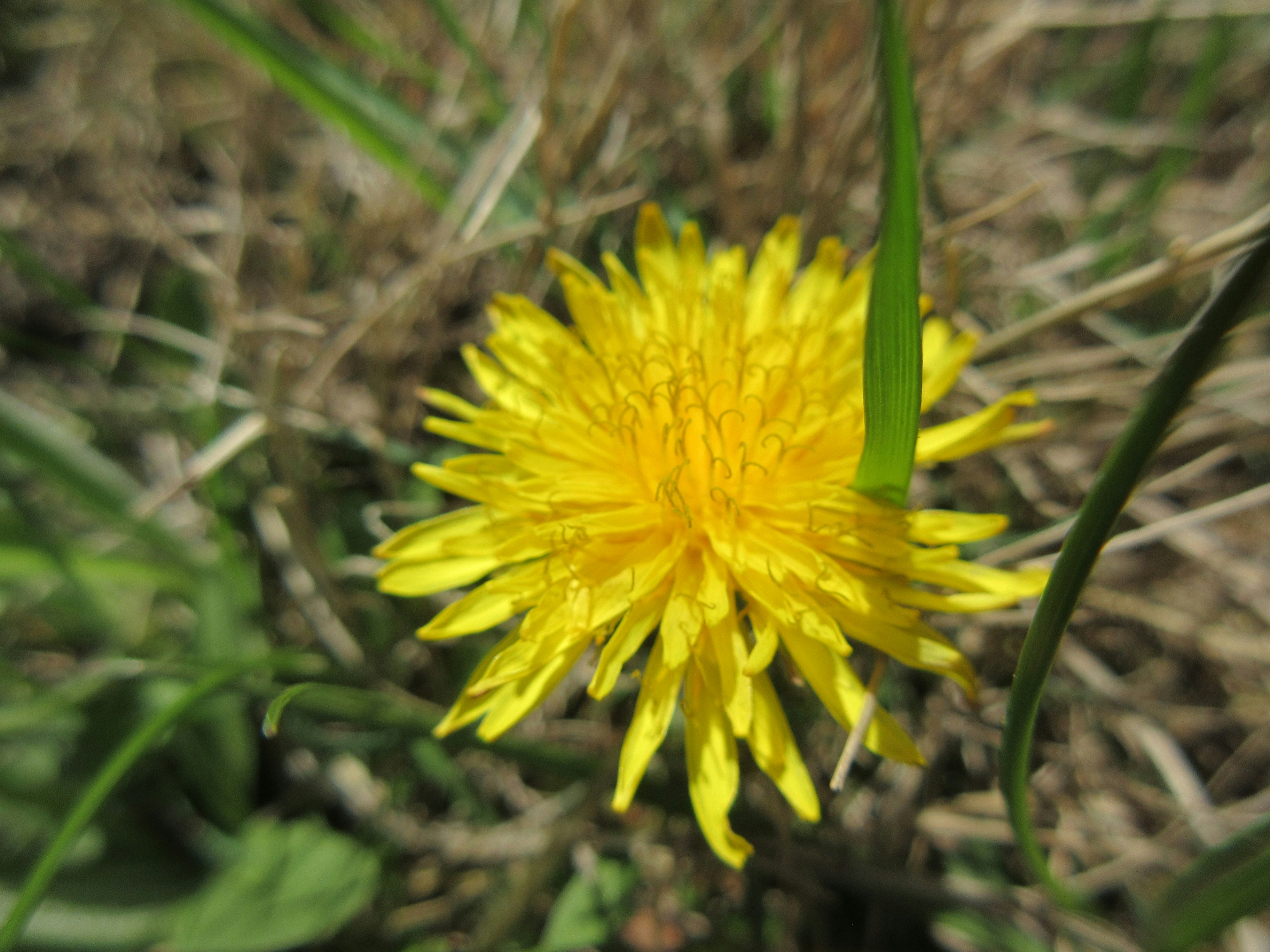 Photo by mission_pilot