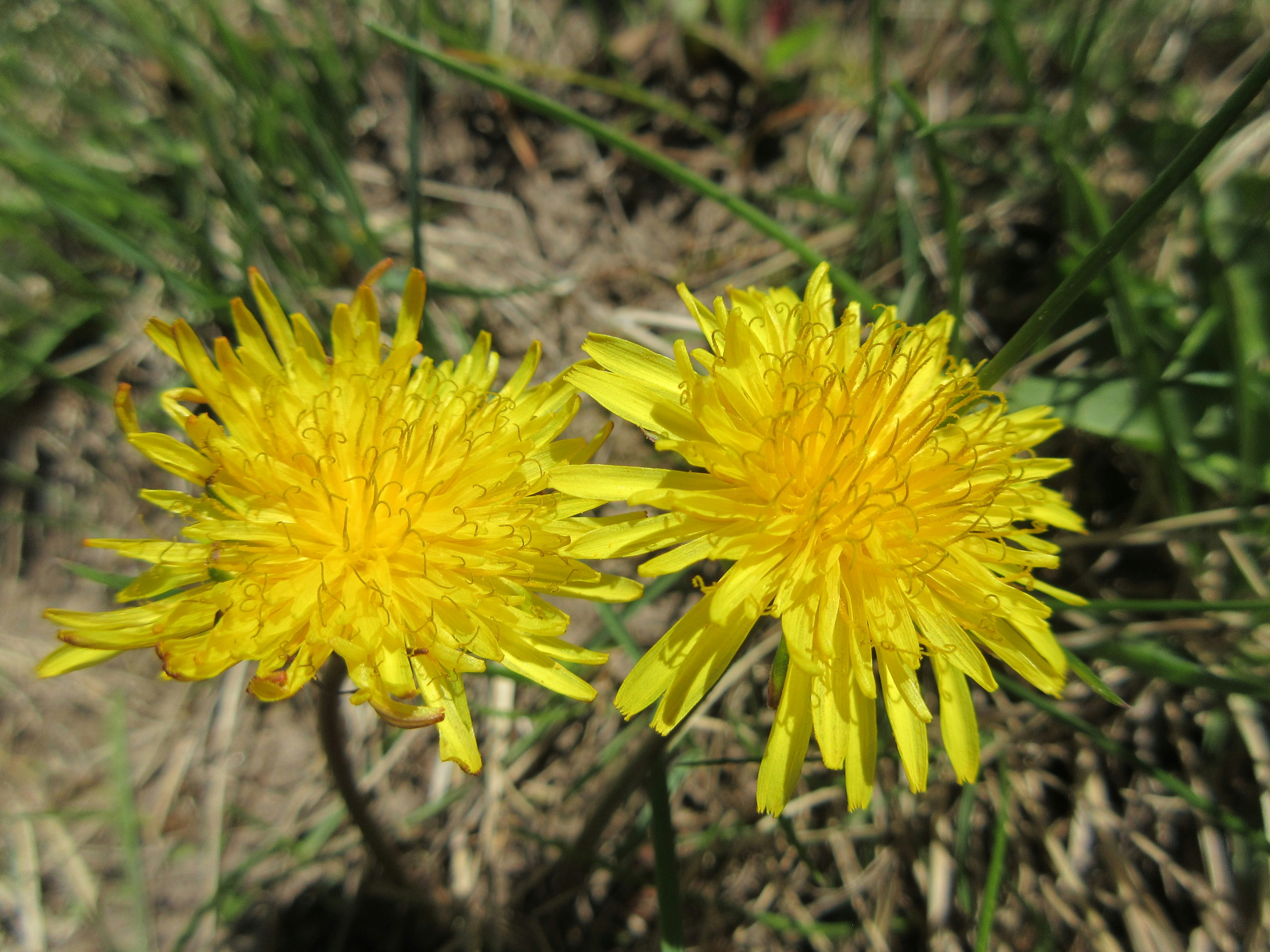 Photo by mission_pilot