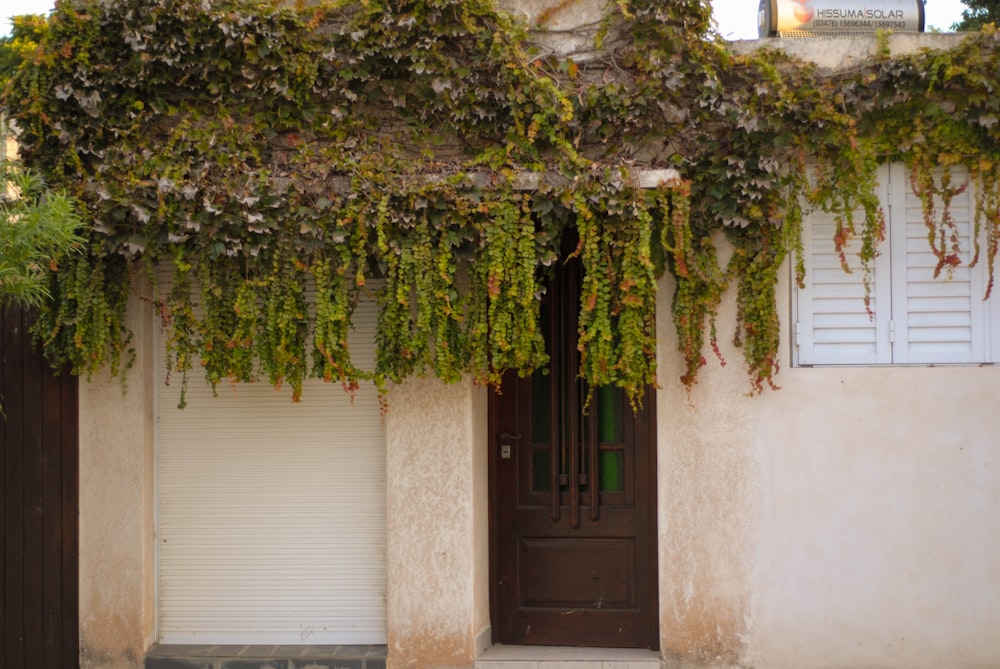 a building with vines growing over the top of it