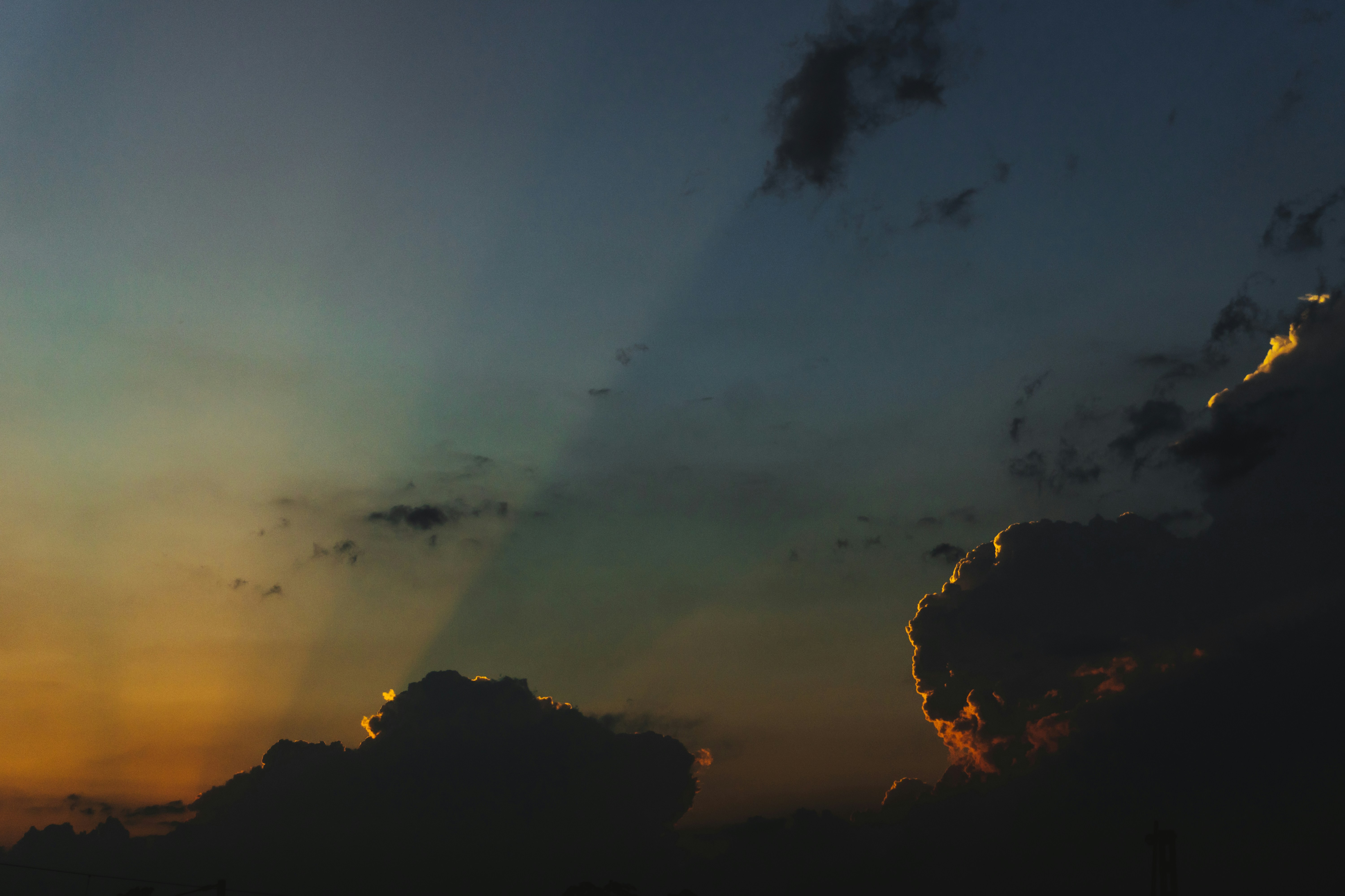 Photo by royphotography