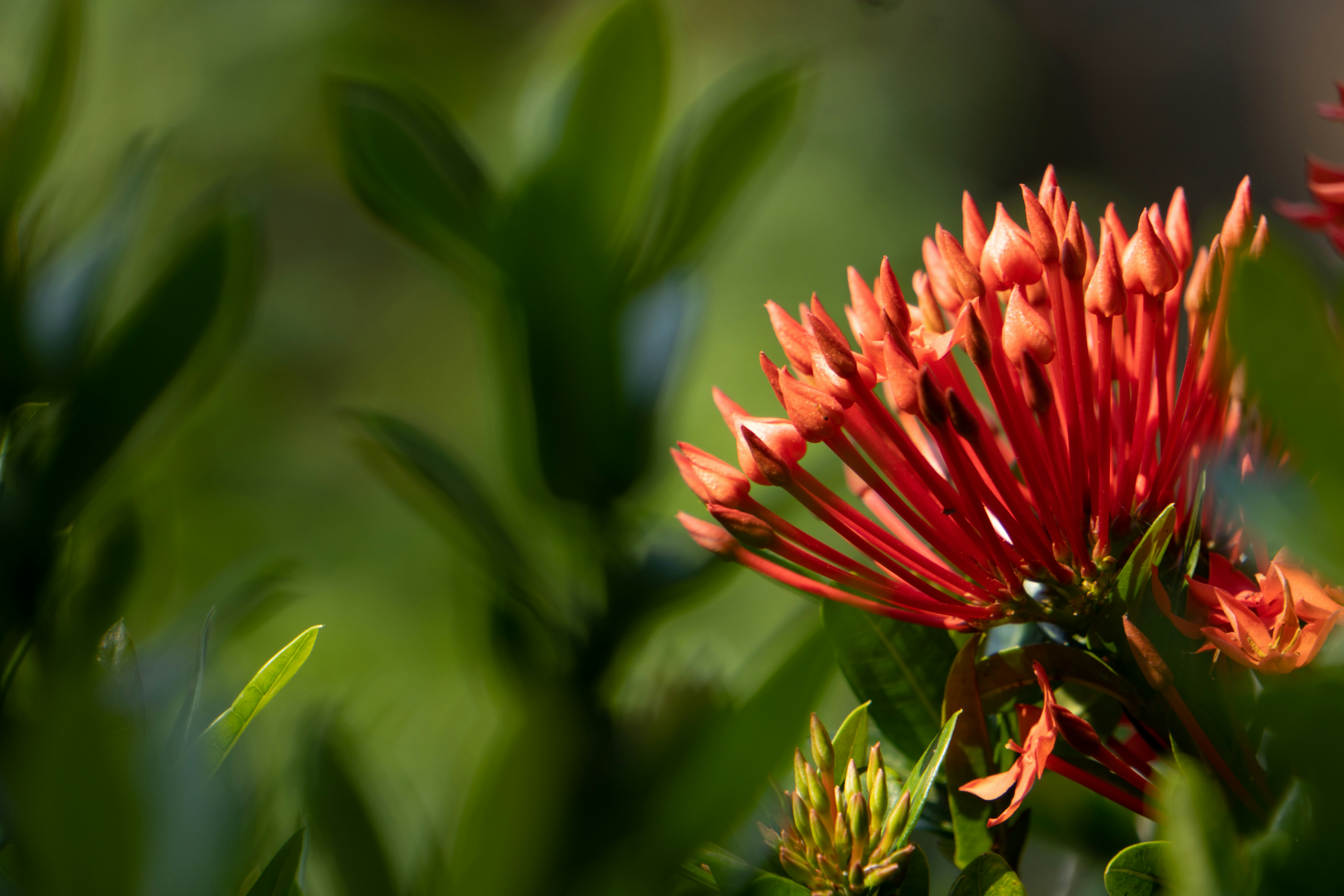 Photo by royphotography