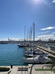 a marina filled with lots of boats under a blue sky