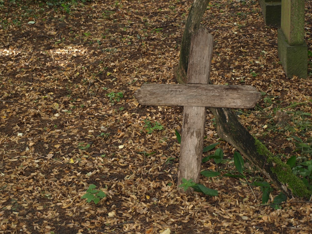 a wooden cross sitting in the middle of a forest