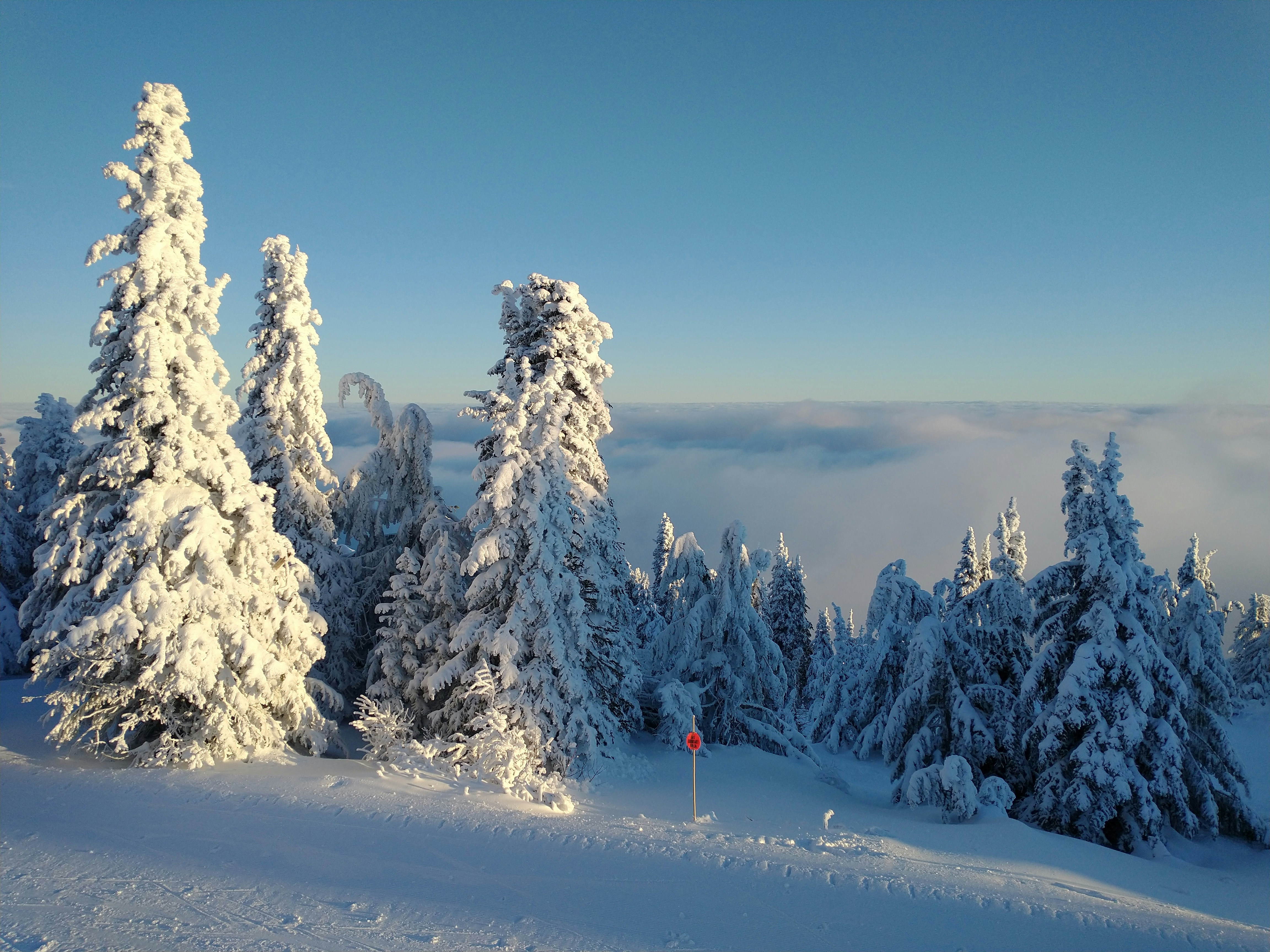 Photo by mission_pilot