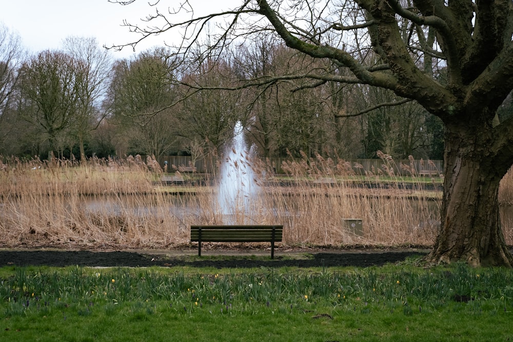 a park bench in front of a pond with a fountain in the background