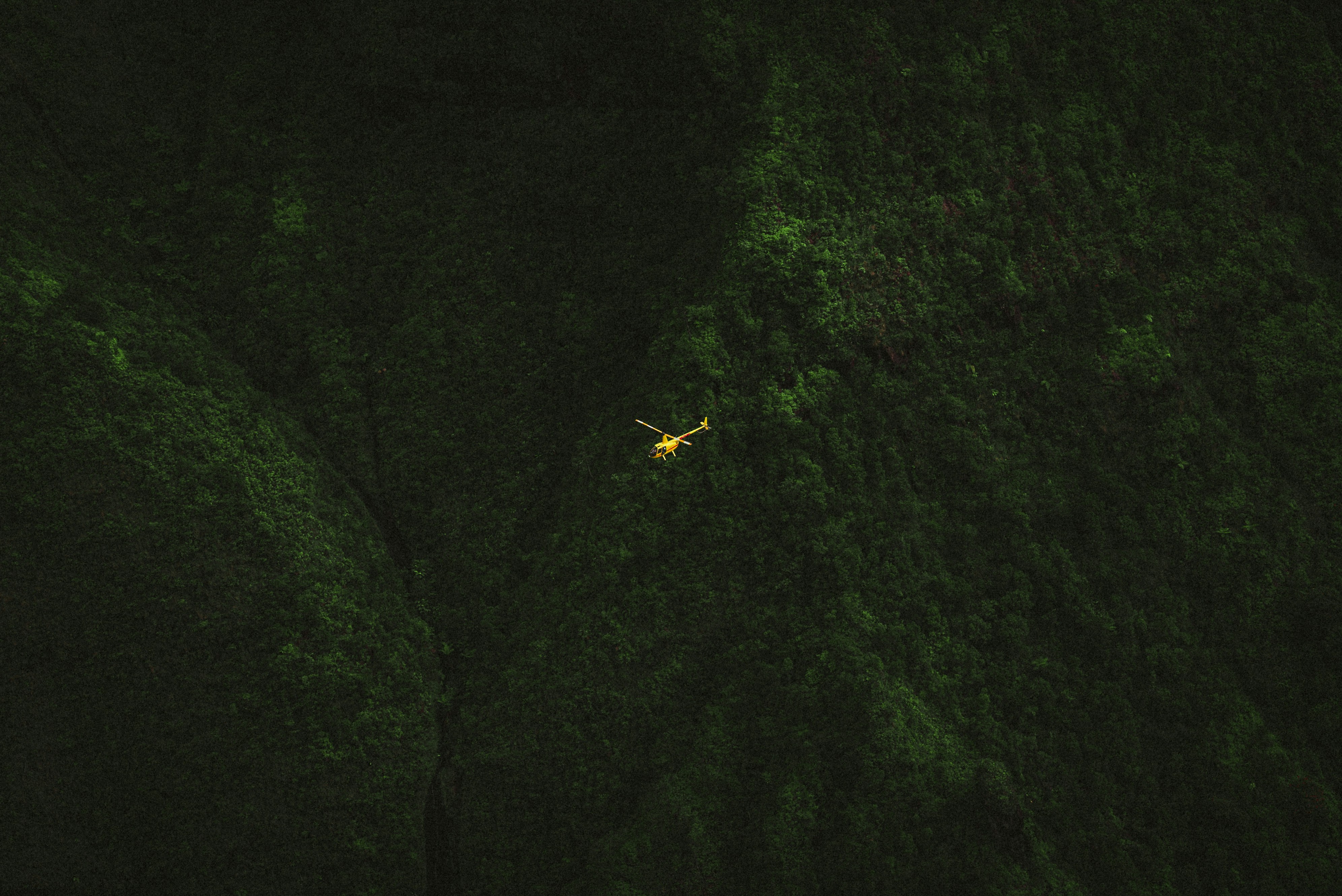 a plane flying over a lush green forest