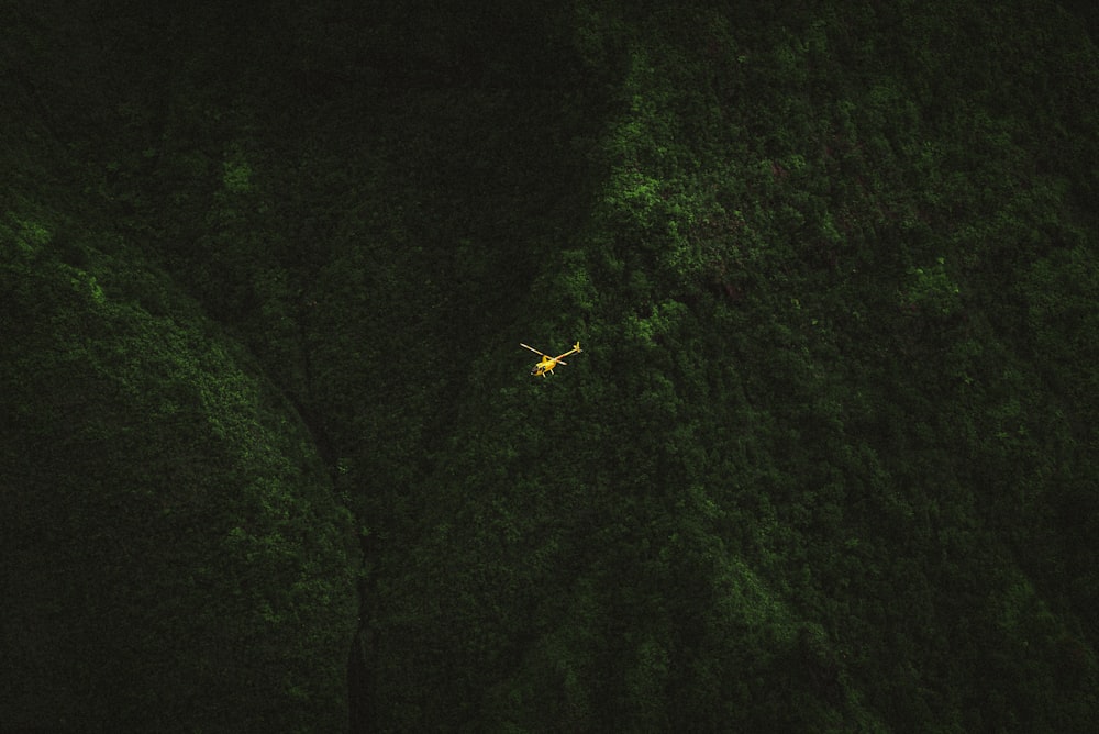 um avião sobrevoando uma exuberante floresta verde