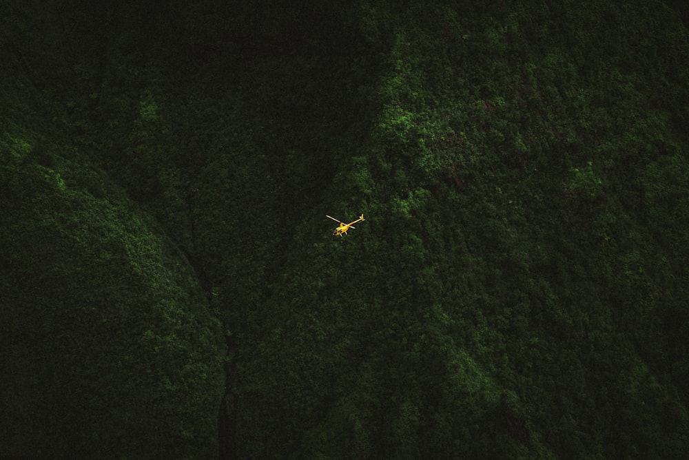 a plane flying over a lush green forest