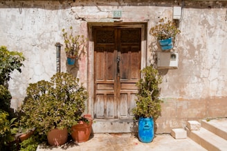 Close-up of farmhouse entrance with wooden door and plants.