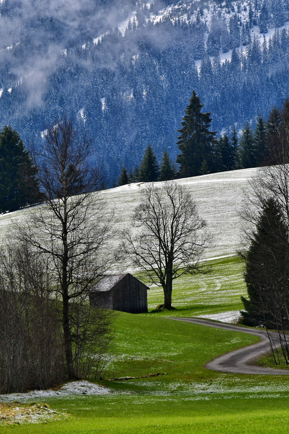 a green field with trees and a barn in the background