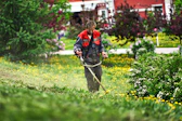 a man is mowing the grass in the yard