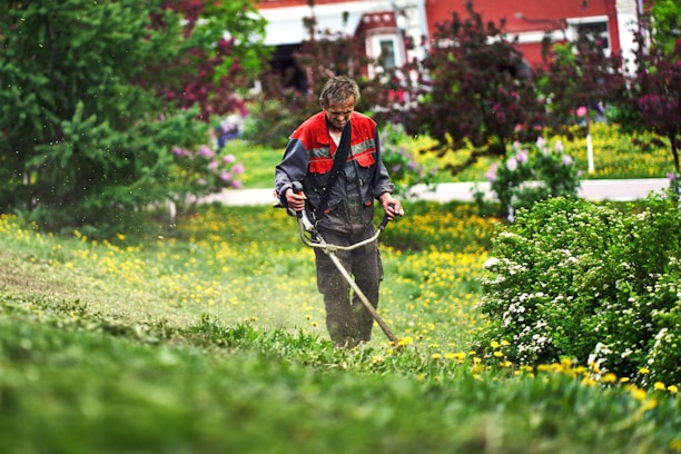 A man is trimming grass with a string trimmer in a lush garden full of green vegetation and yellow flowers. He wears a dark jacket with red accents and is surrounded by blooming trees and bushes, with a red building in the background.