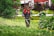A man is trimming grass with a string trimmer in a lush garden full of green vegetation and yellow flowers. He wears a dark jacket with red accents and is surrounded by blooming trees and bushes, with a red building in the background.