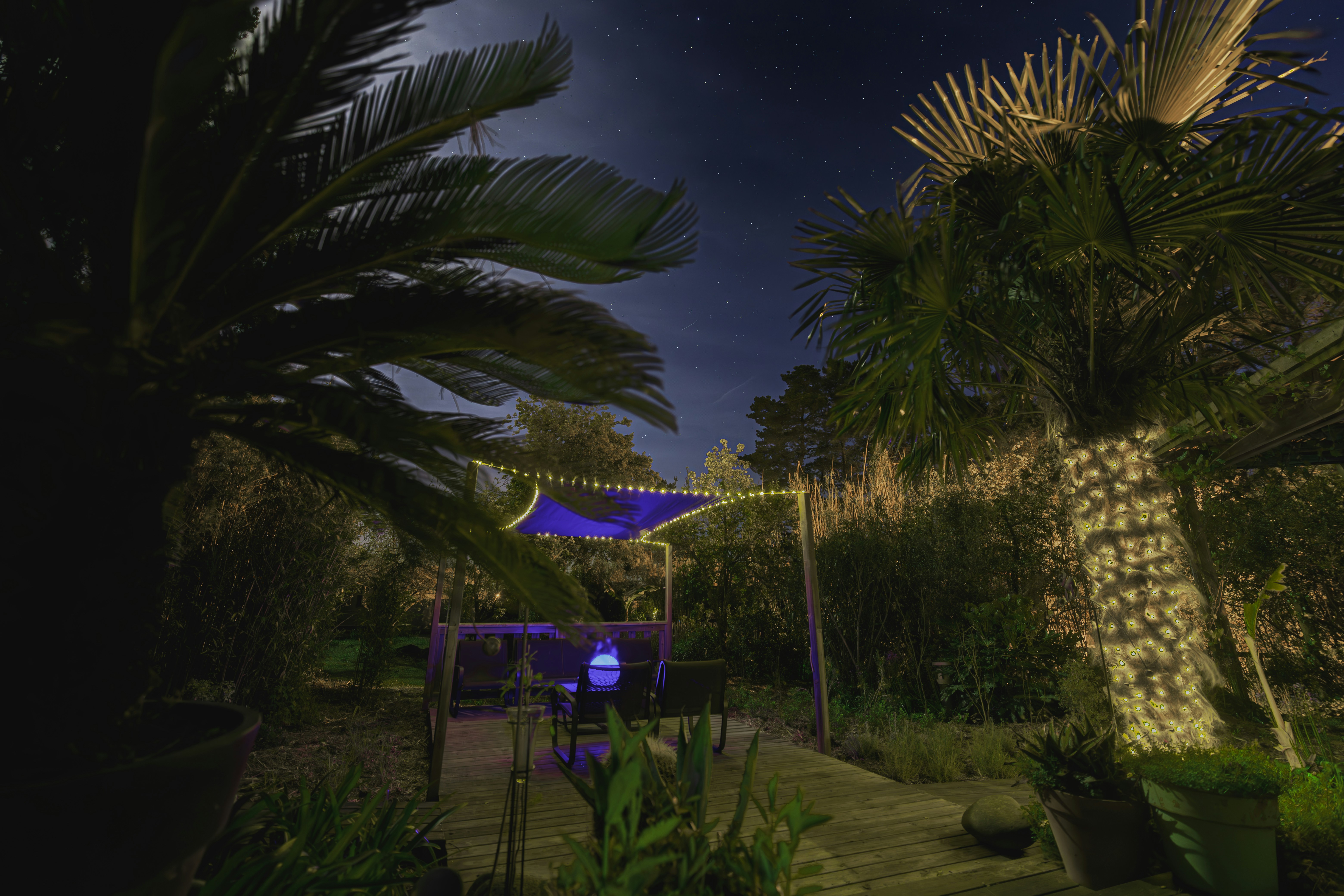 Photo by arizonanthony