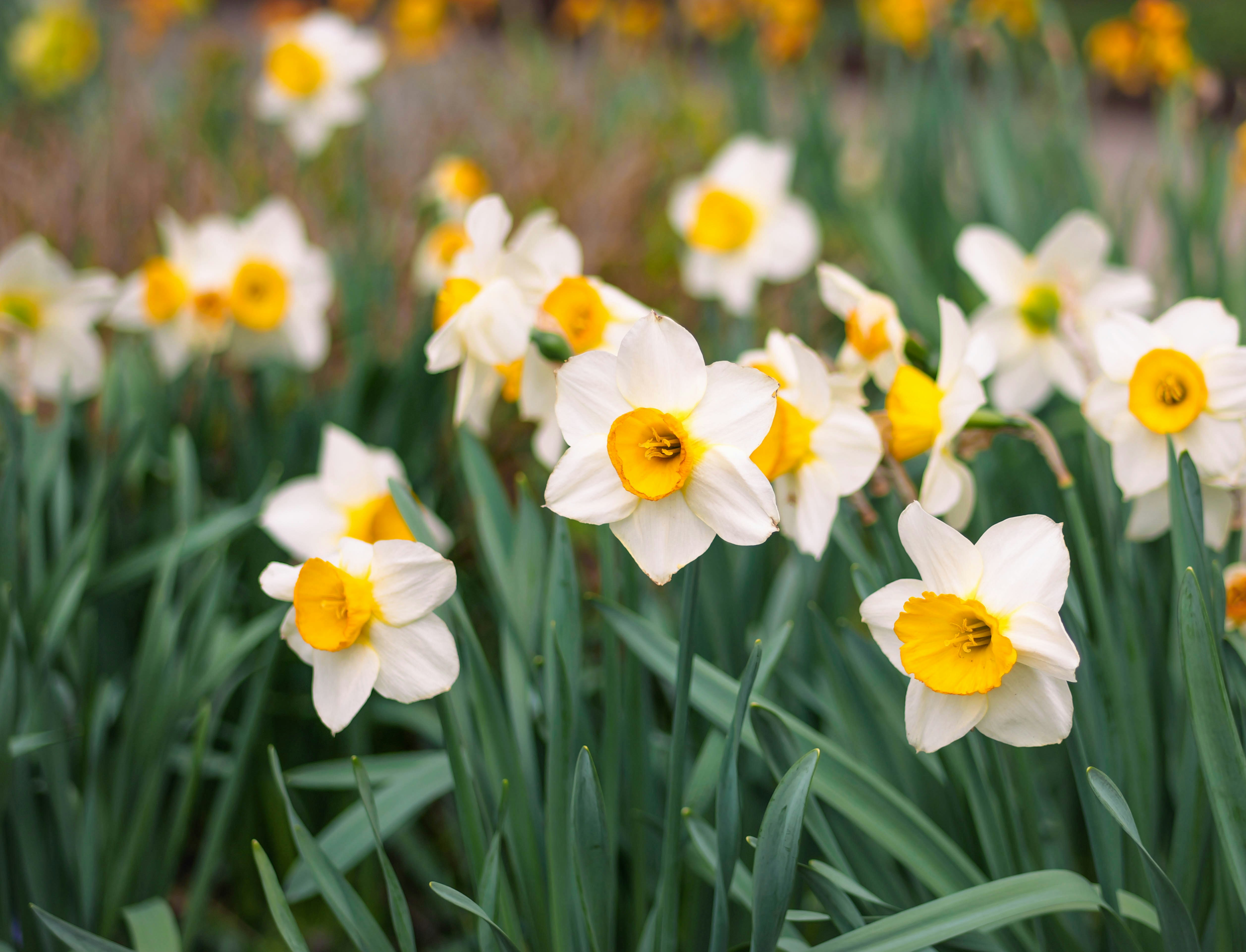 Photo by katelynnicolephoto