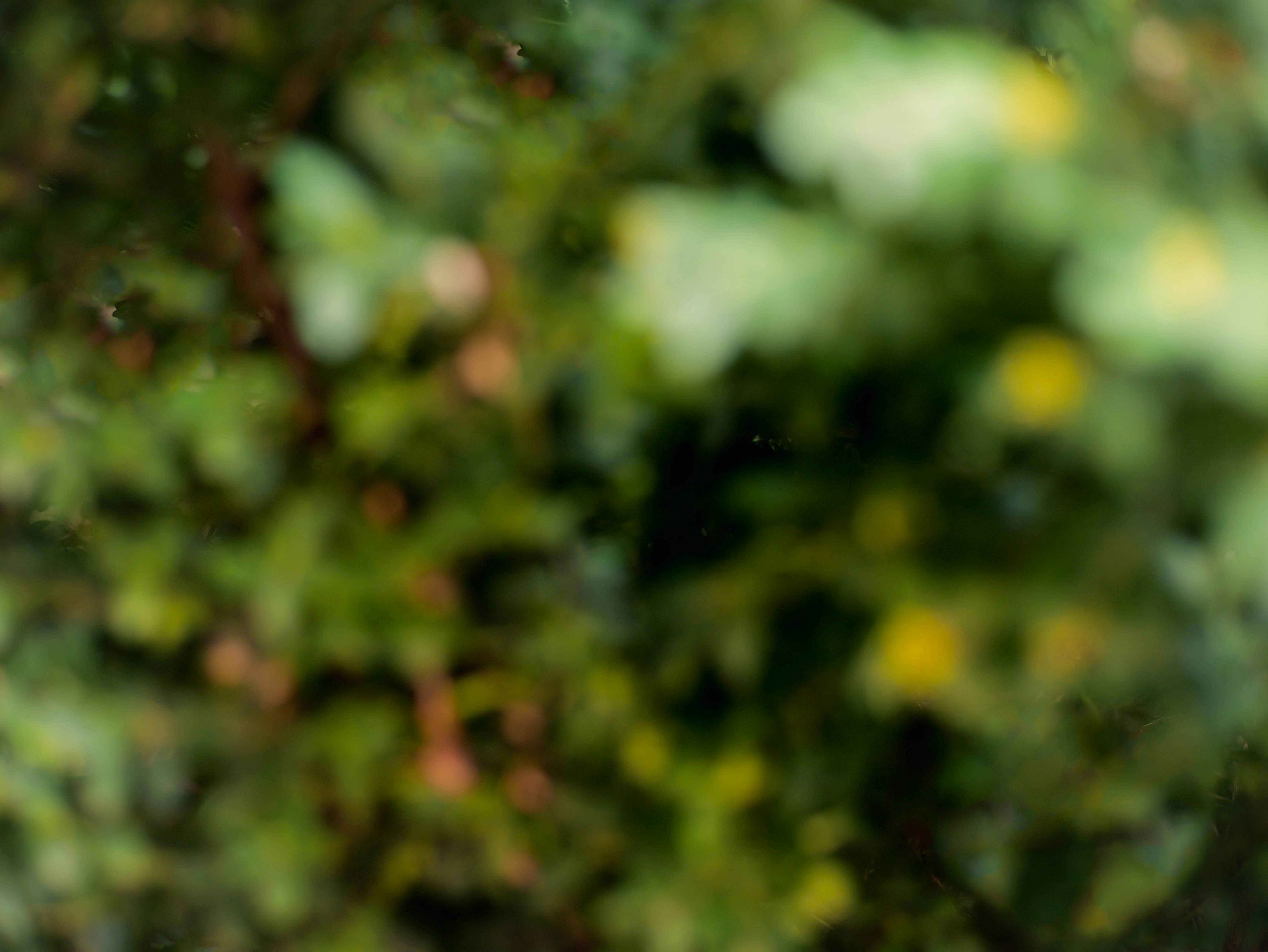 Photo by katelynnicolephoto