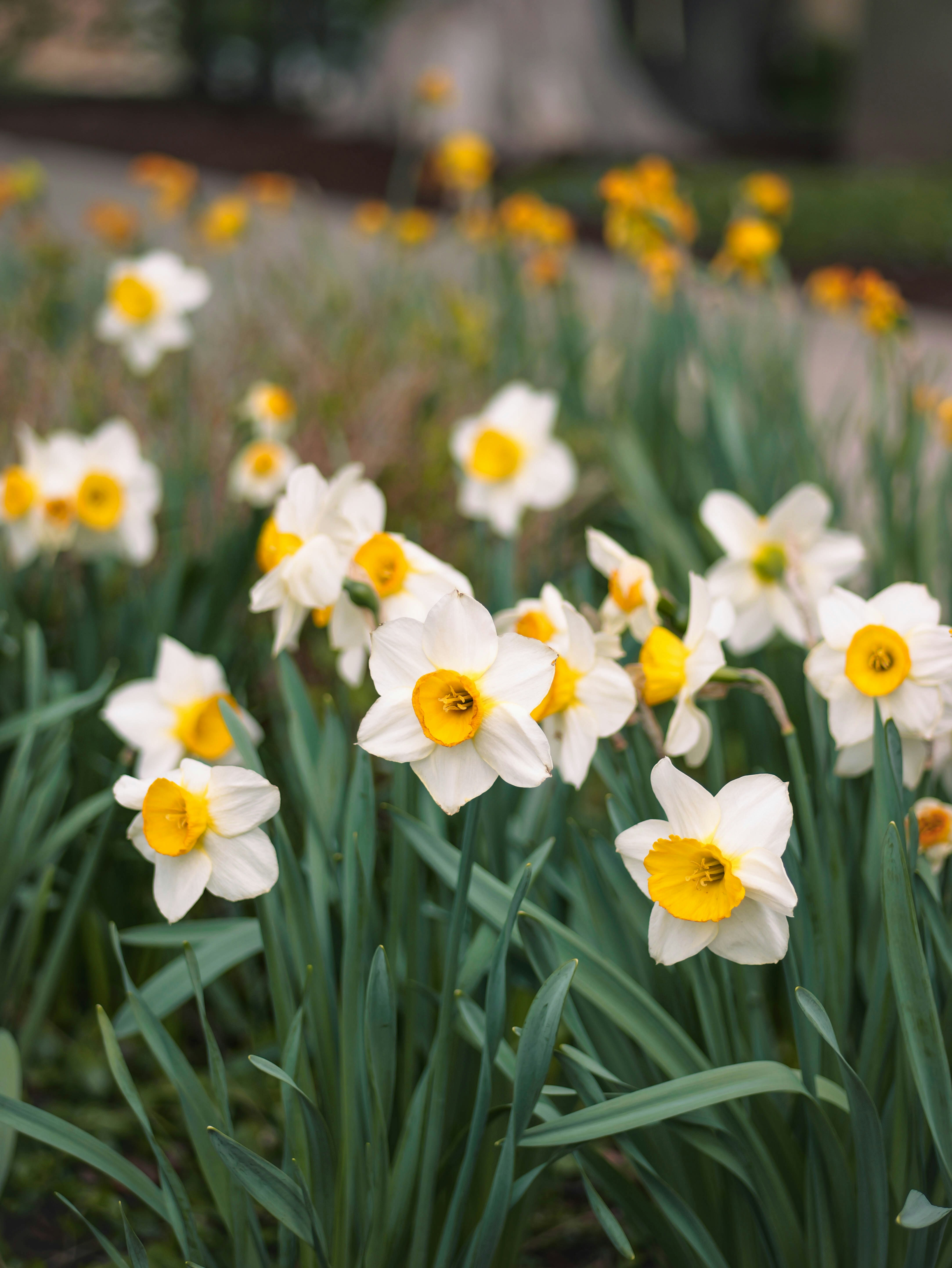 Photo by katelynnicolephoto