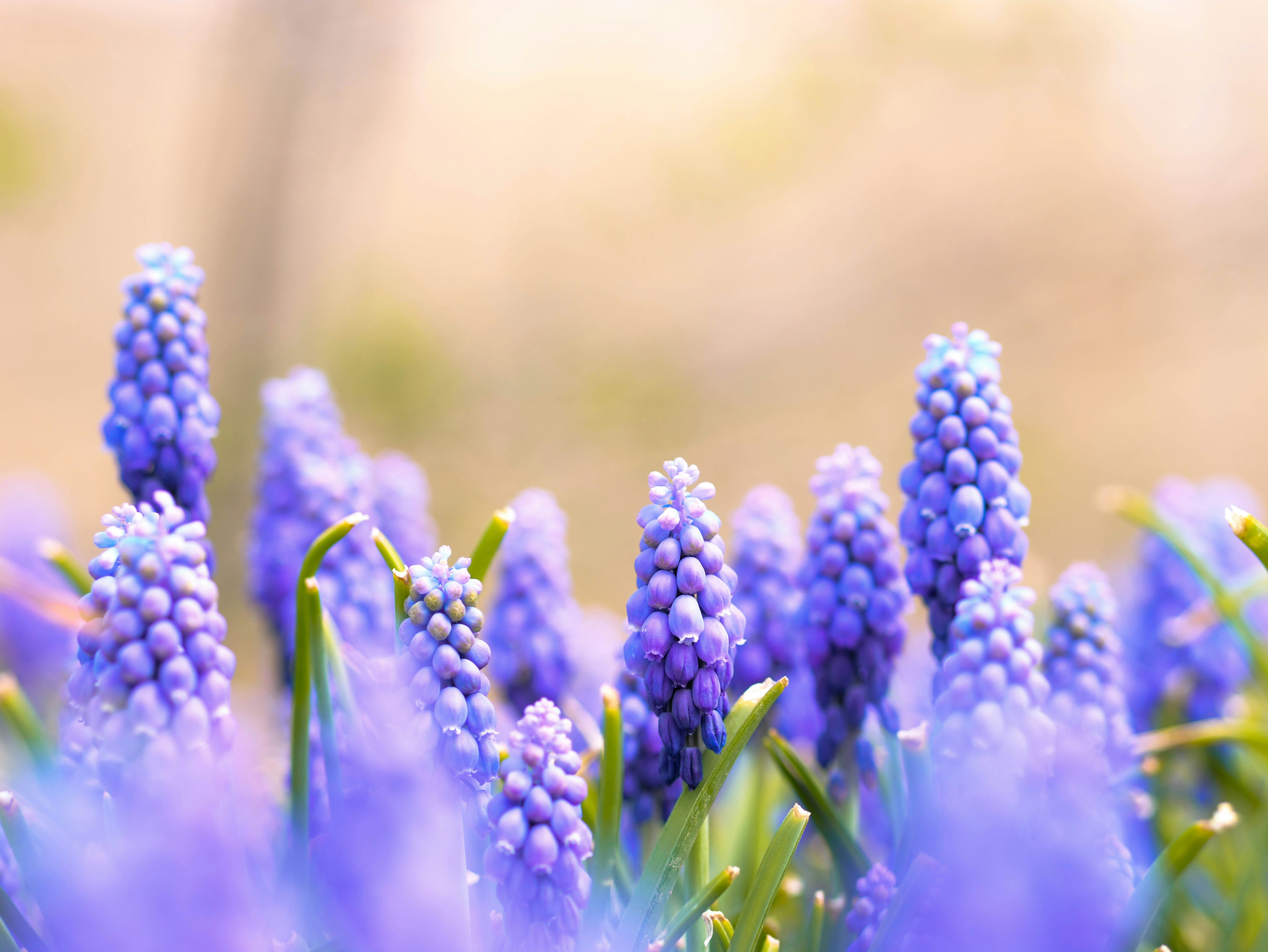 Photo by katelynnicolephoto