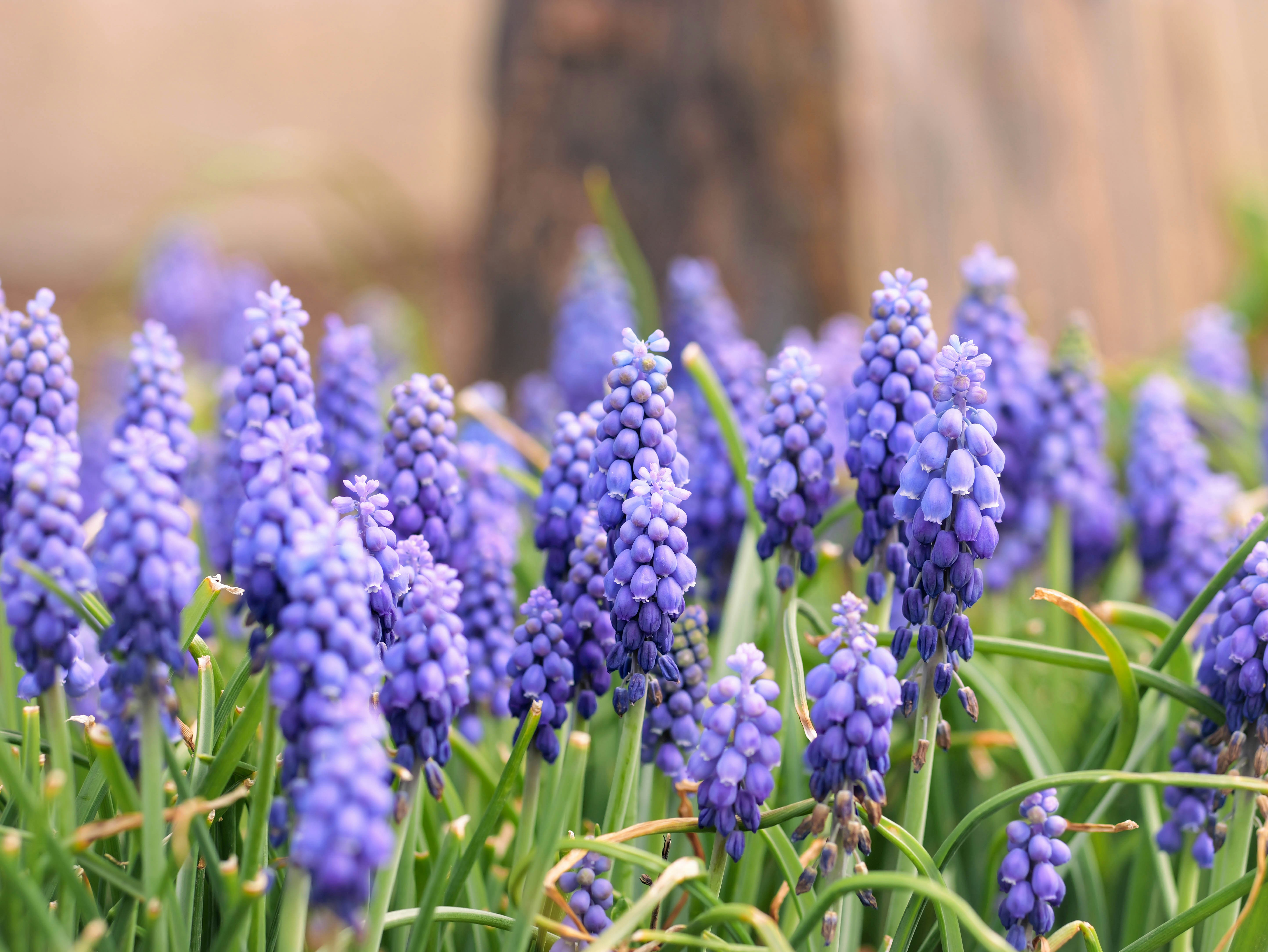 Photo by katelynnicolephoto