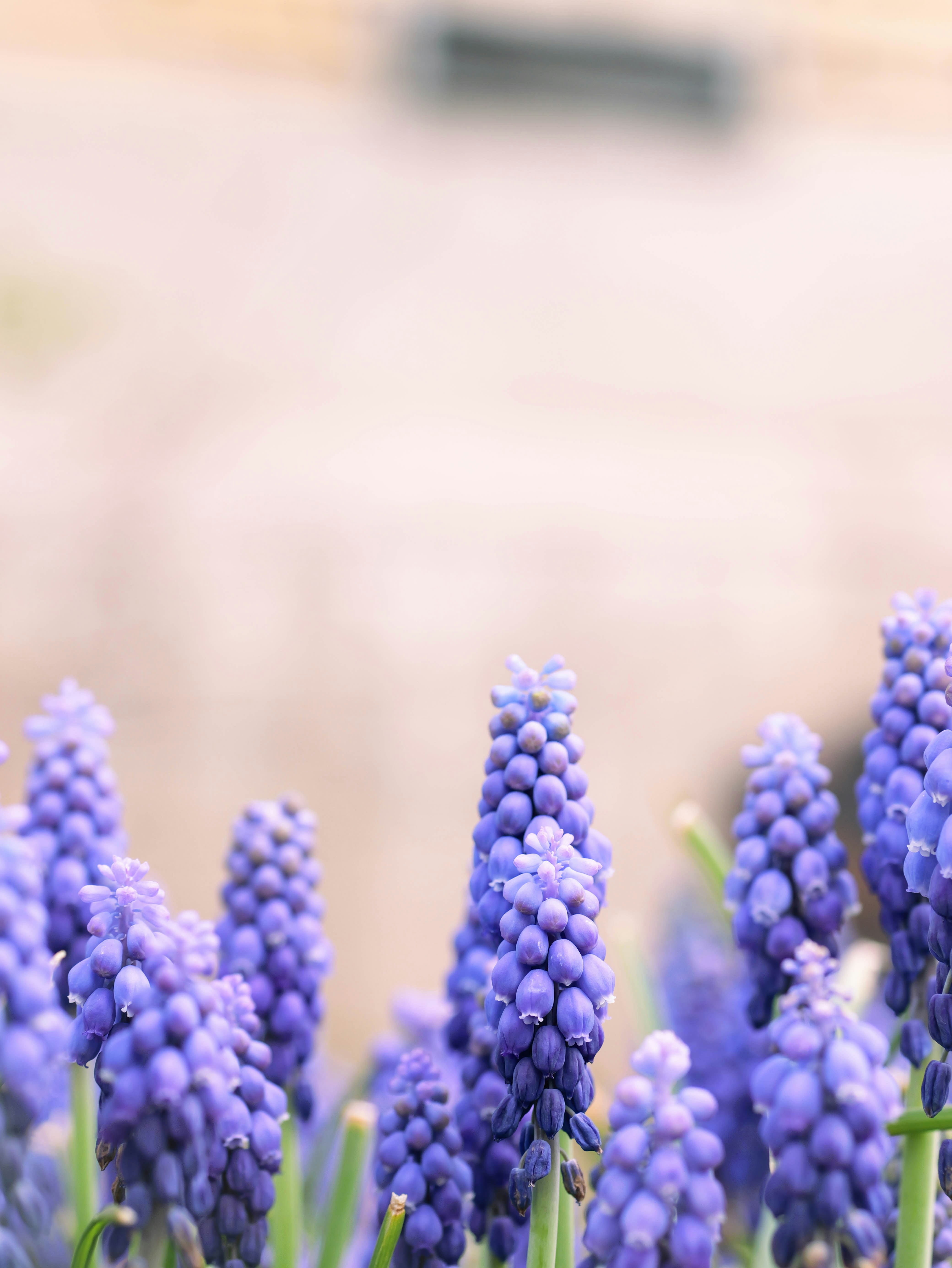 Photo by katelynnicolephoto