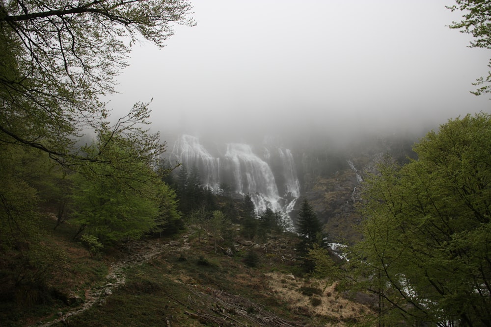 a very tall waterfall in the middle of a forest