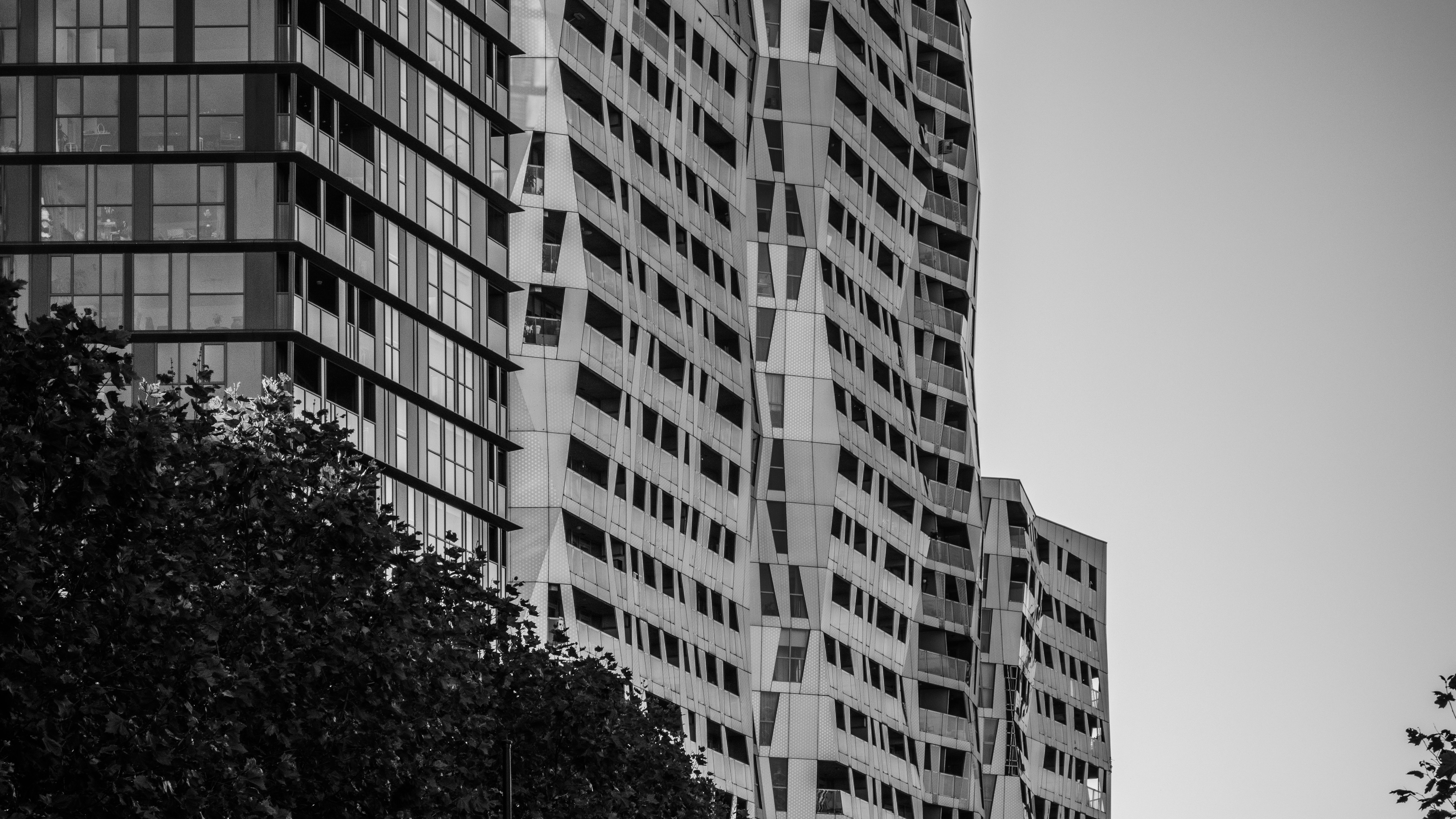 Photo by gunnarridder