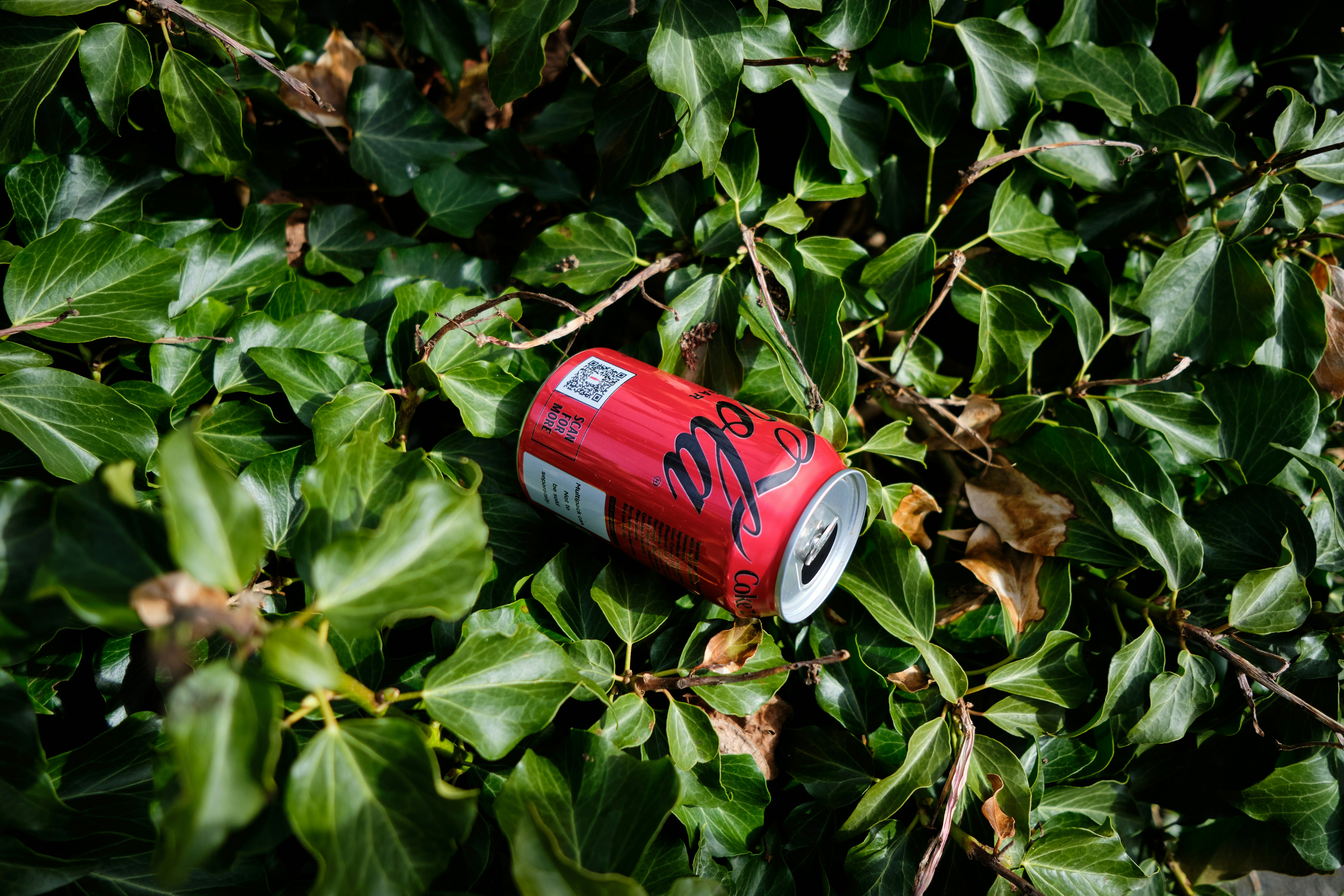 Photo by frostroomhead