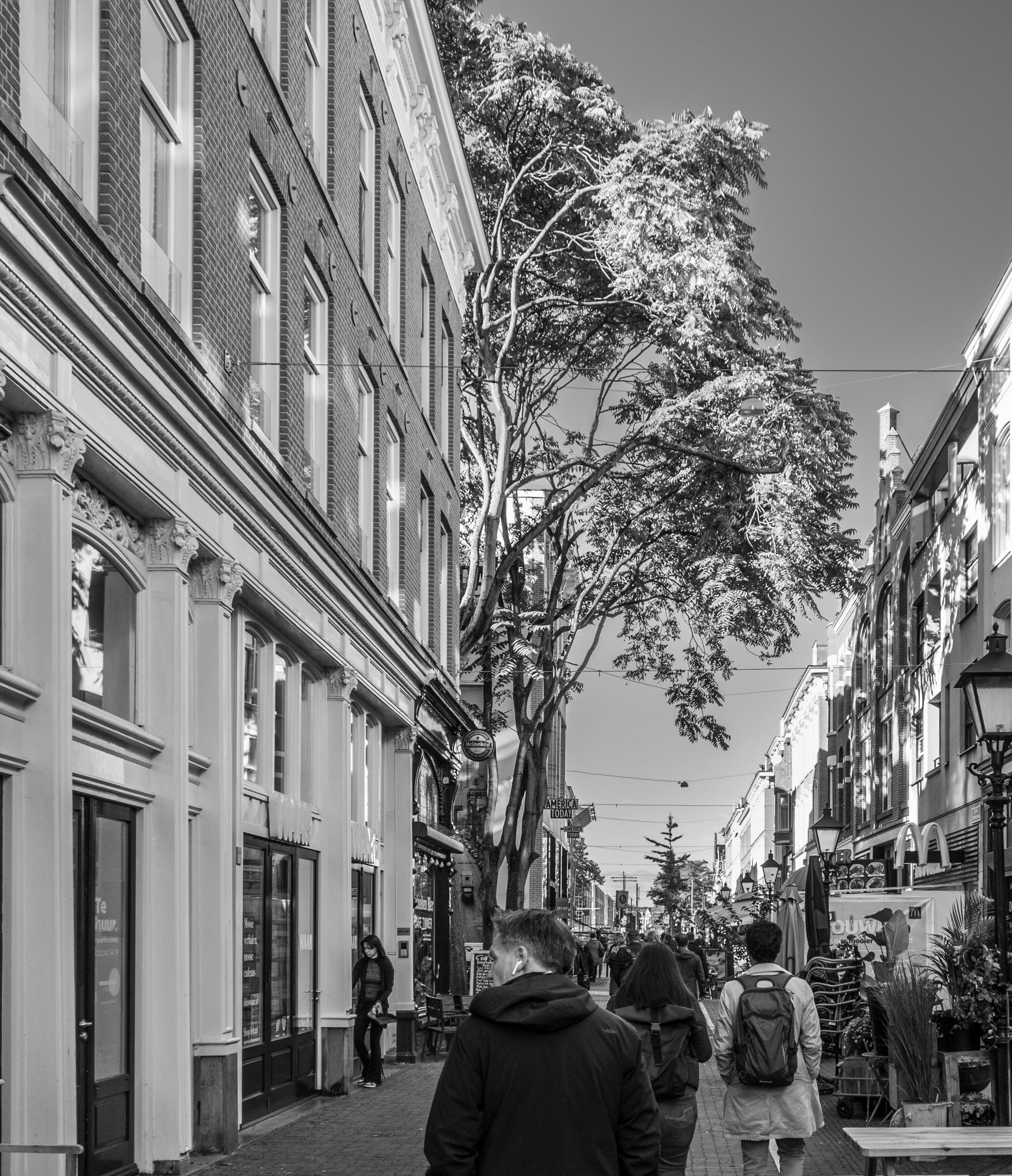 Photo by gunnarridder