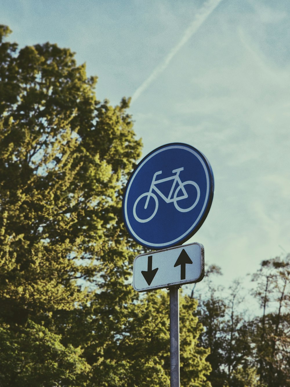 a blue street sign with a bicycle on it