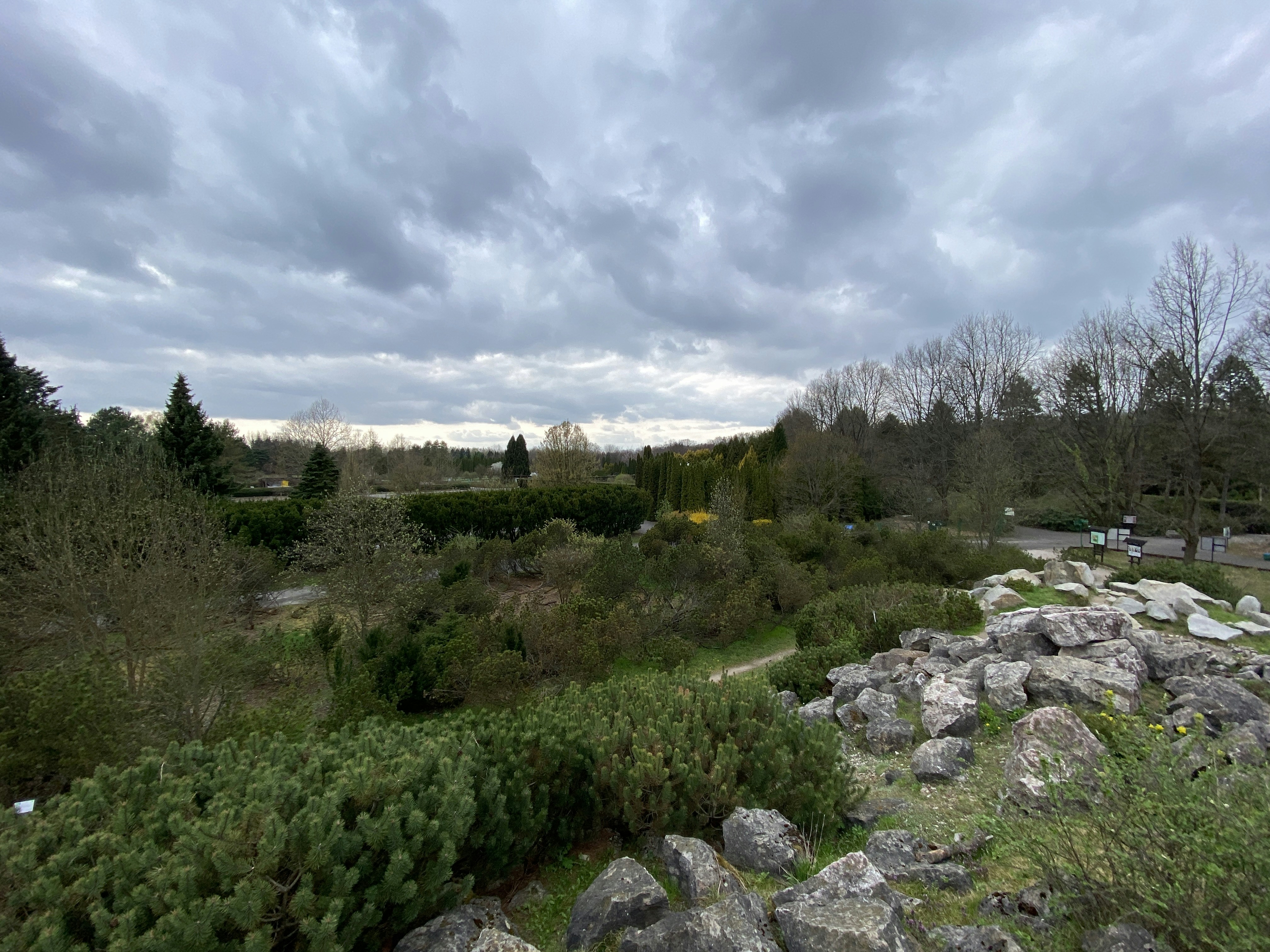 a view of a field with rocks and trees