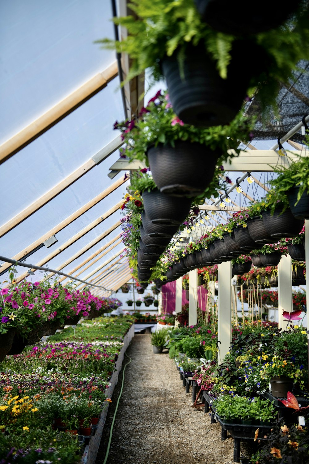 a greenhouse filled with lots of different types of plants