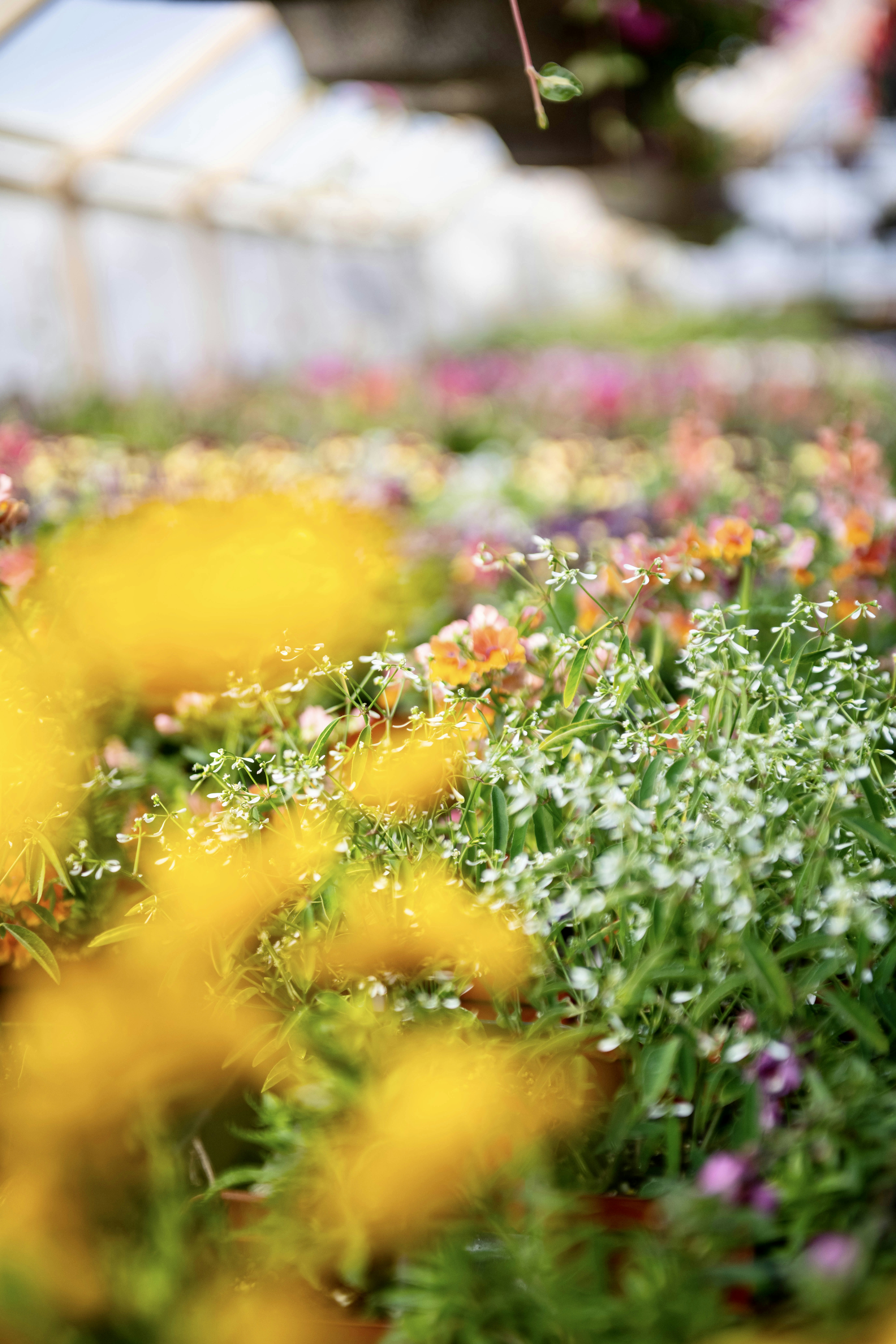 Photo by hlandkammer