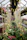 A greenhouse with rows of lush, colorful plants and flowers. Hanging baskets with a variety of blooming flowers are suspended from the ceiling. The space is full of vibrant, green foliage intertwined with bright pink, red, yellow, and purple blossoms. Vertical wooden stakes support climbing plants, adding structure to the abundant greenery.