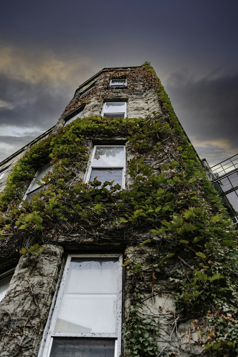 a tall building with a bunch of plants growing on it