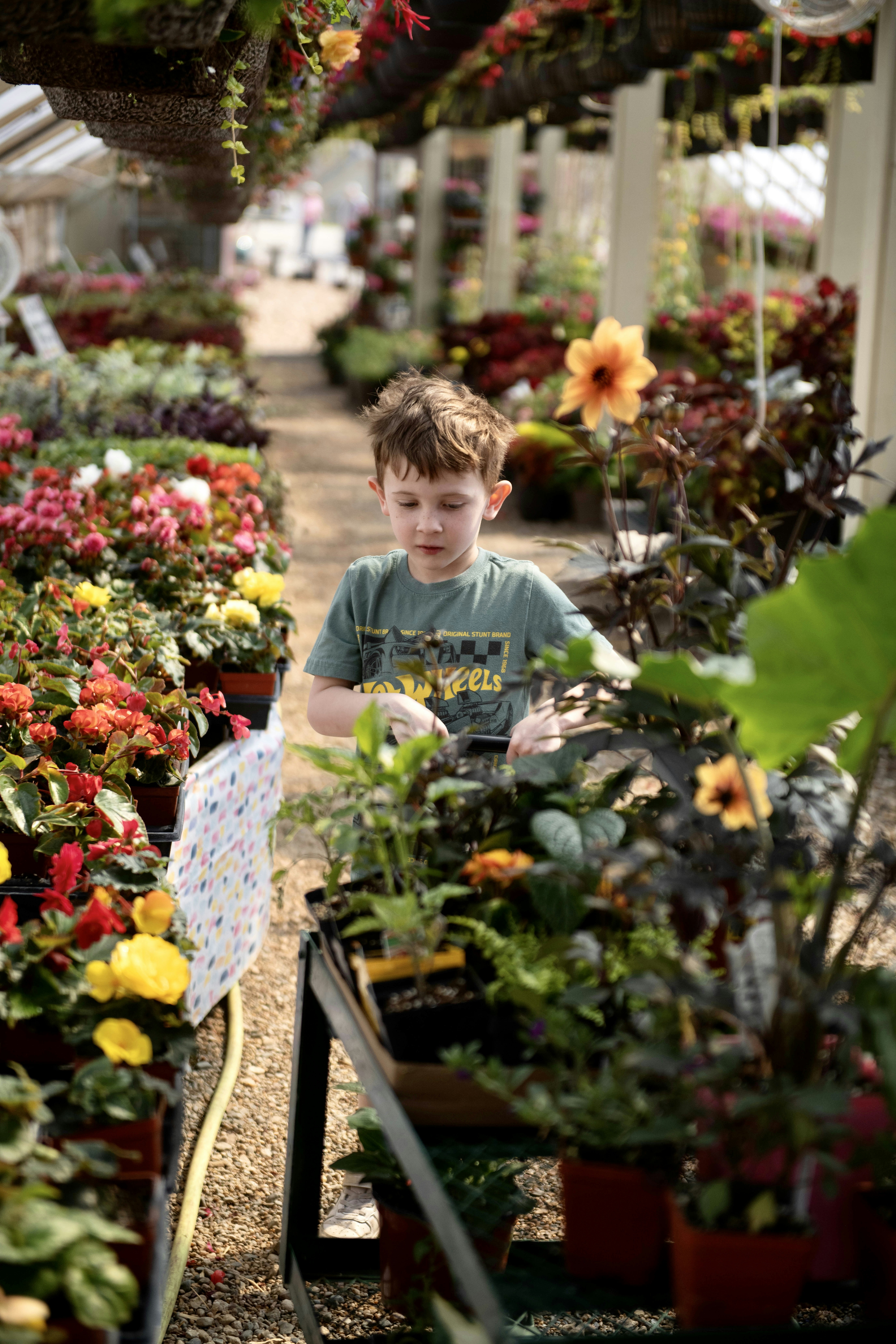 Photo by hlandkammer